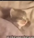 Yippiee