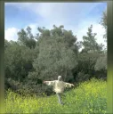 Hayrunnisa İPEKLİ