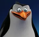 pengu-rico